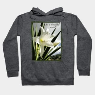 beautiful world with white amaryllis into vintage frame Hoodie